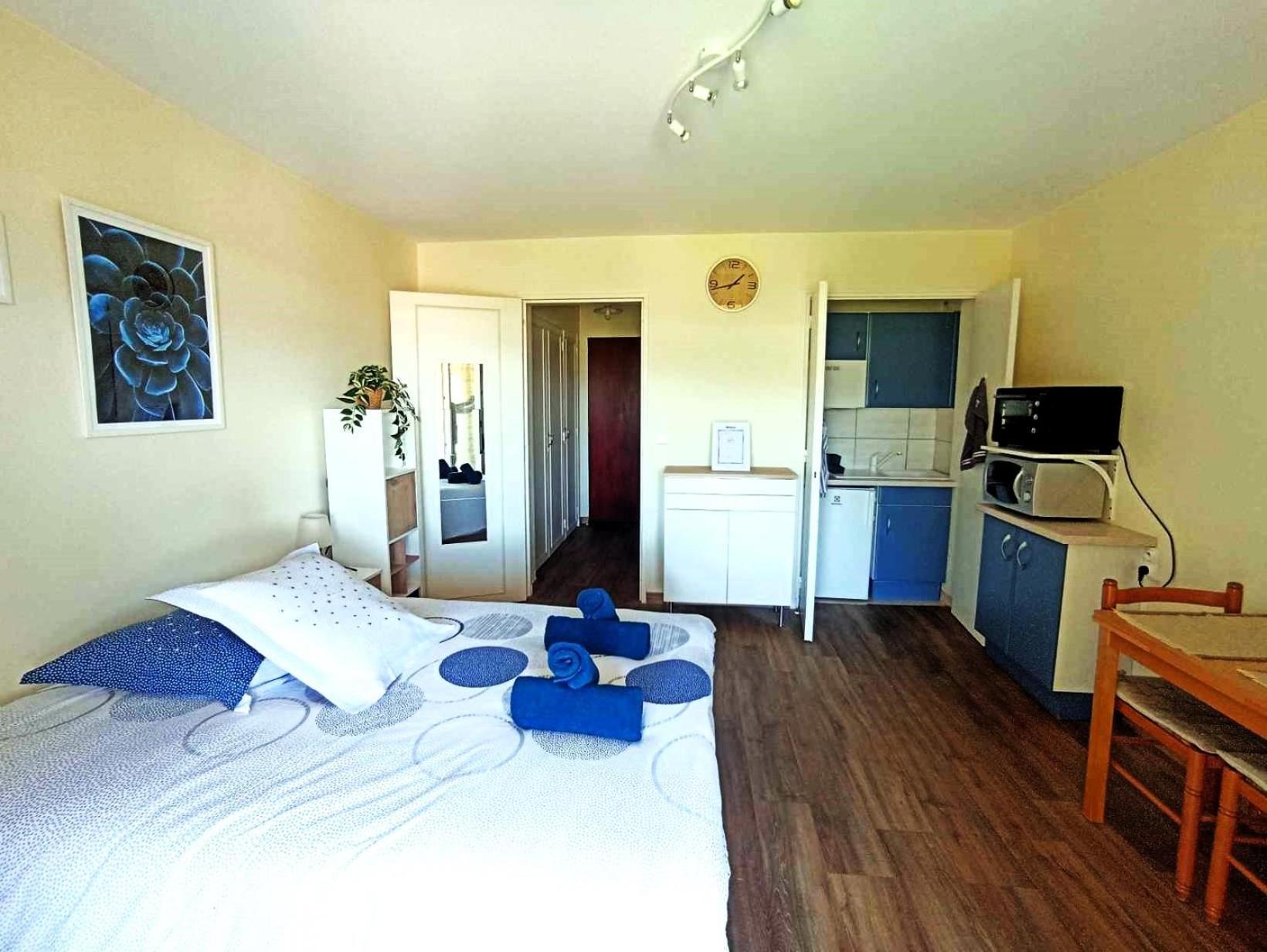 Lumineux Studio-greoux-les-bains Apartment *